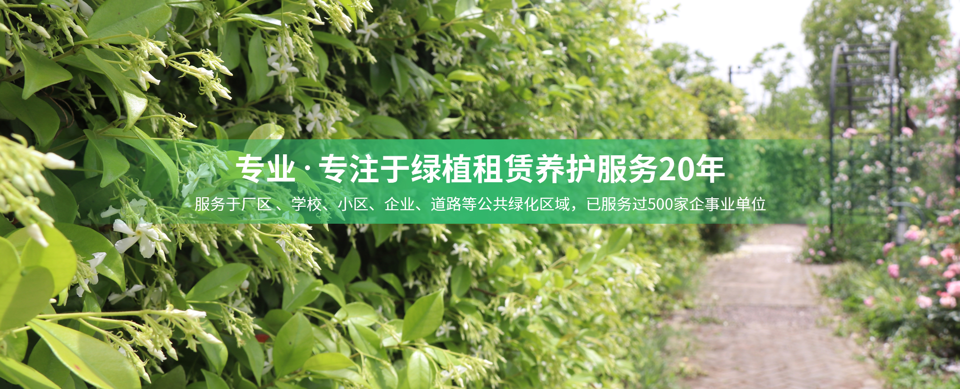 常州润和花木有限公司